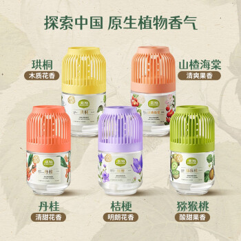 airfunk 小香墩 （香型随机）